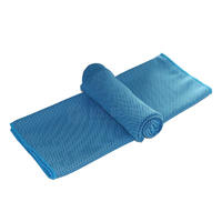 Light Blue Ice Towel