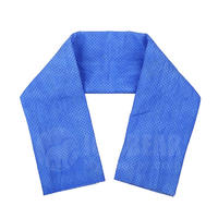 Blue Sports Cooling Towel