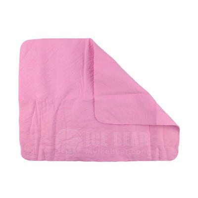 Pink PVA Quick Dry Towel